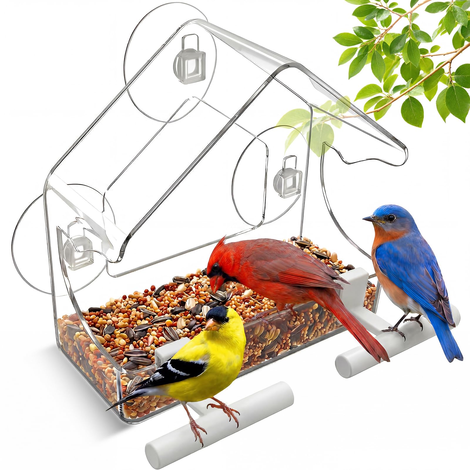 BTFSZ clear window bird feeder in crystal acrylic for year-round viewing