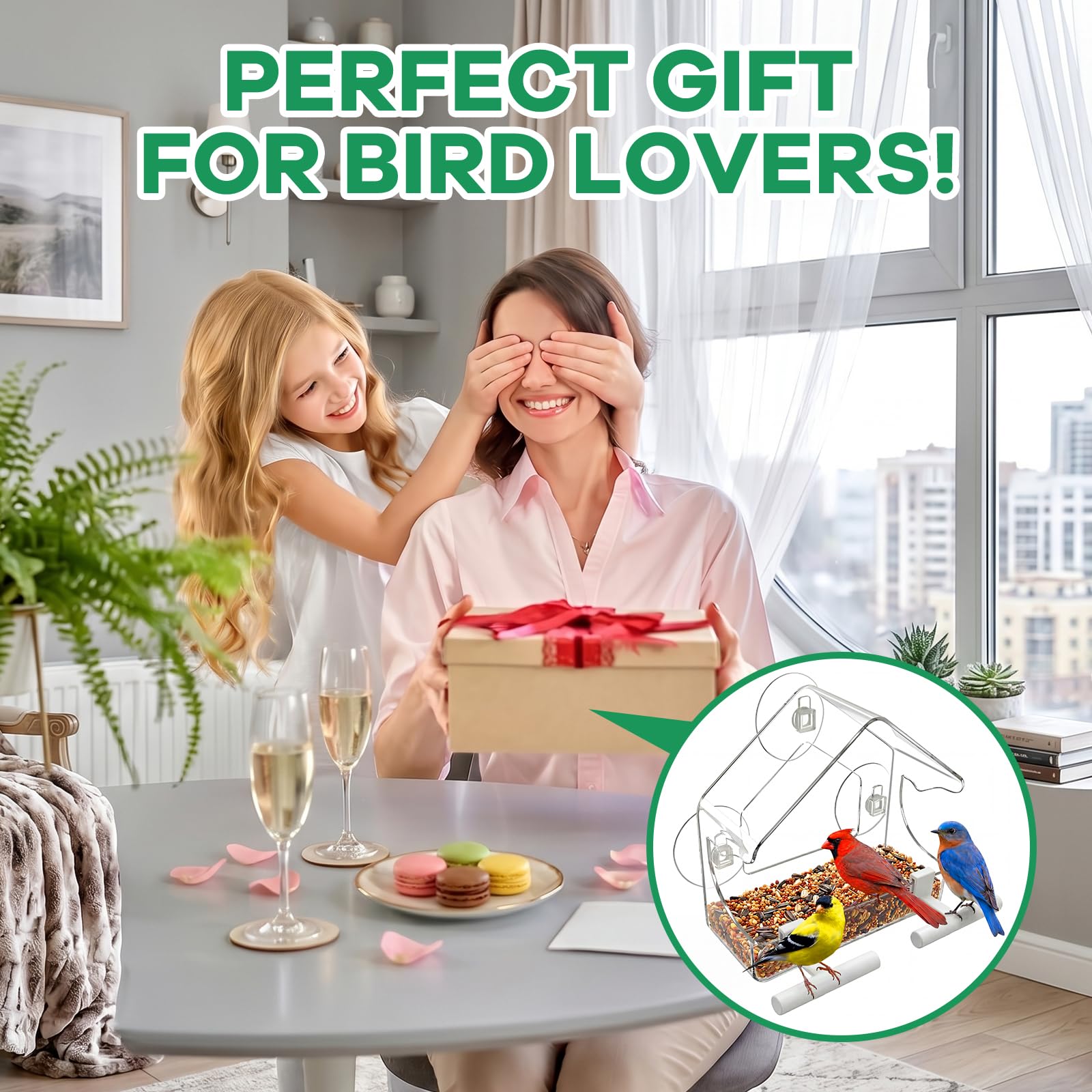 BTFSZ wide-view acrylic window bird feeder offers angle-free viewing