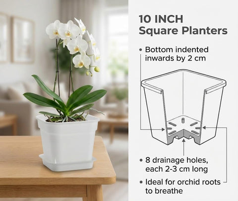 BTPLASTIK 5mm thick heavy-duty planter withstands sun and heavy soil.