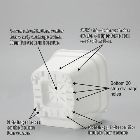BTPLASTIK 10-inch planter with bottom drainage holes for rapid water release.