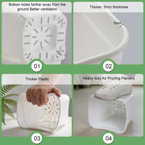 BTPLASTIK square design maximizes soil volume for larger plants.