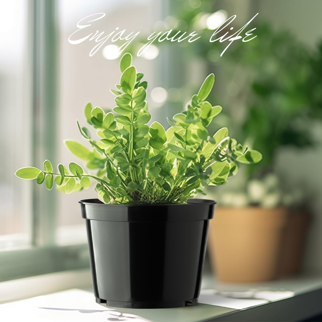 BTPLASTIK 15-pack 6-inch pot in an indoor-outdoor garden