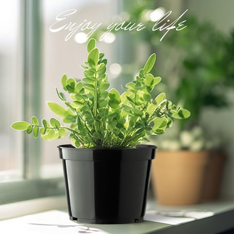 BTPLASTIK 15-pack 6-inch pot in an indoor-outdoor garden