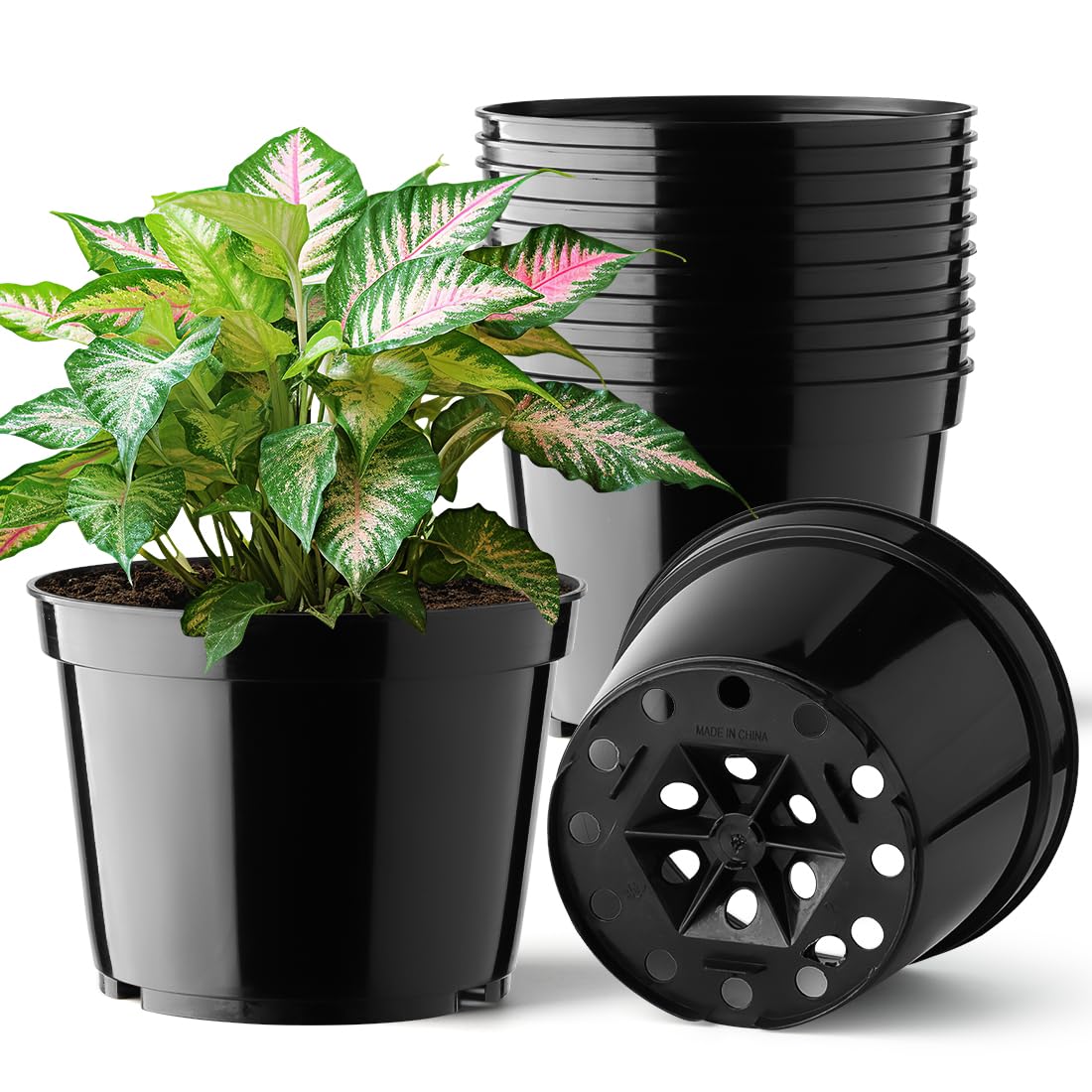 BTPLASTIK 15-pack 6-inch pot, side view, durable seedling starter