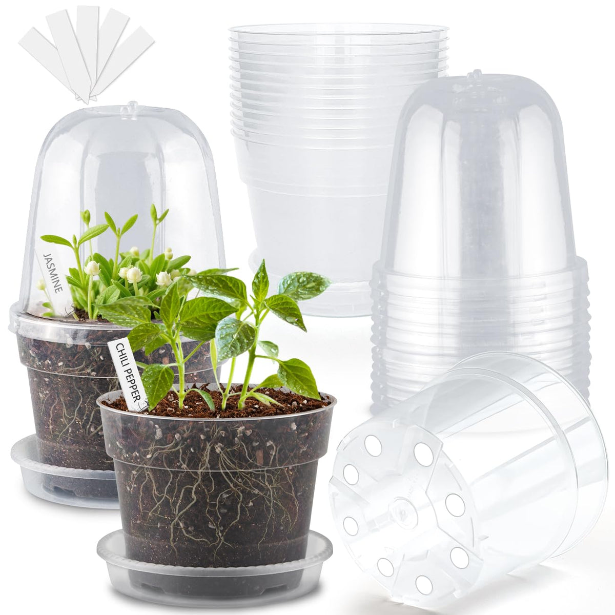 BTPLASTIK 6-inch clear nursery pot with humidity dome for seed germination
