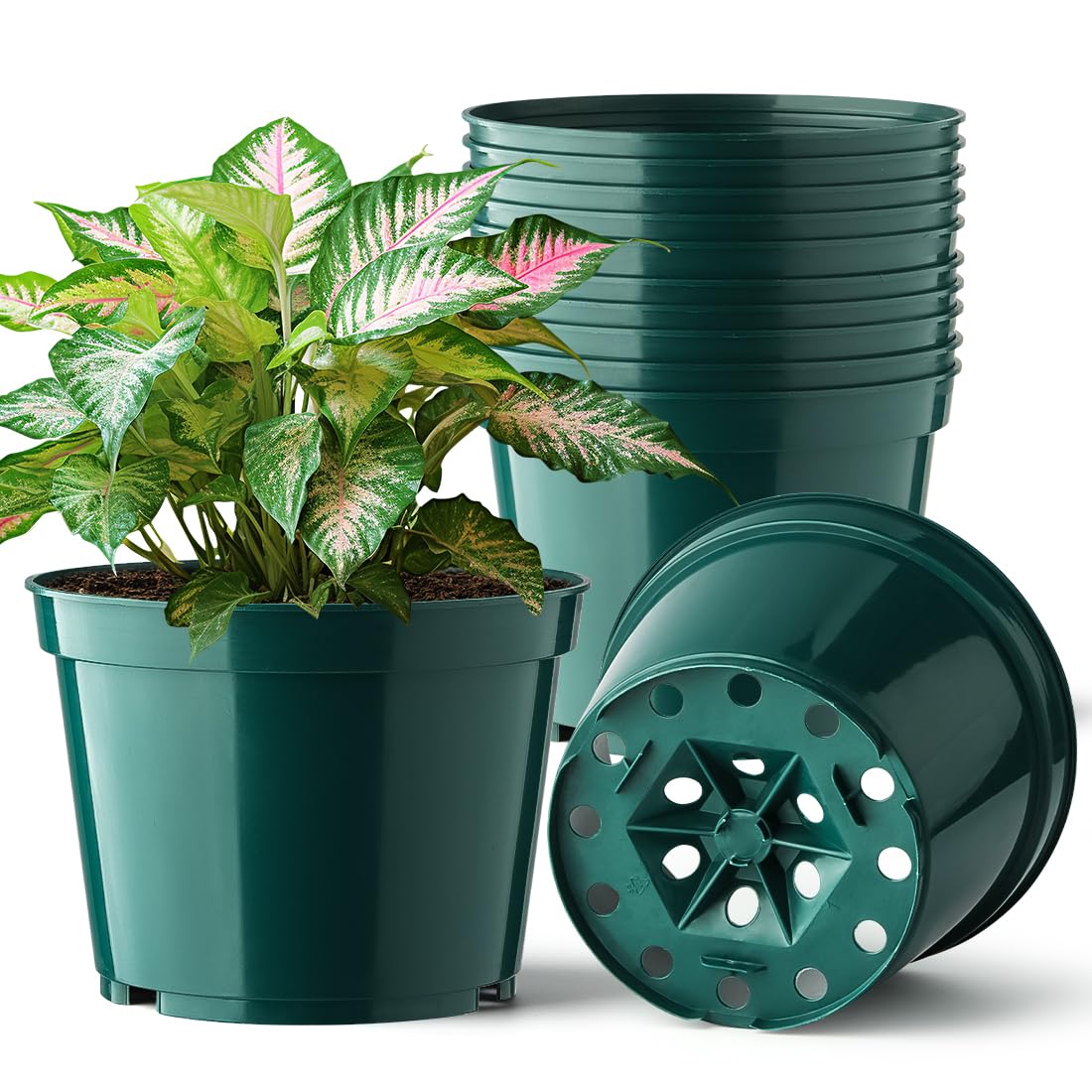 BTPLASTIK 6-inch plant pot front view for versatile indoor and outdoor use