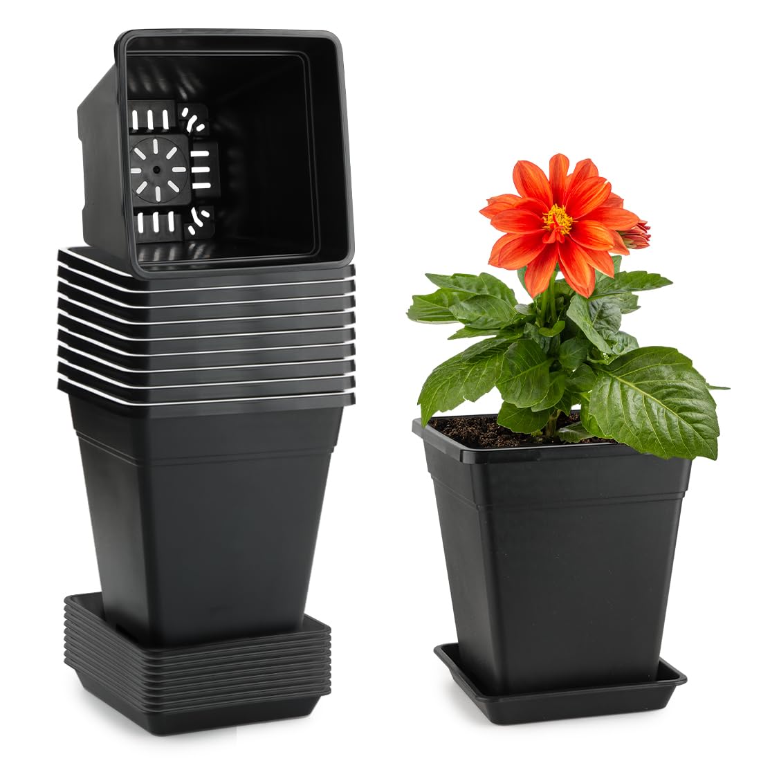 BTPLASTIK 6-inch square plant pot with drainage holes for healthy roots