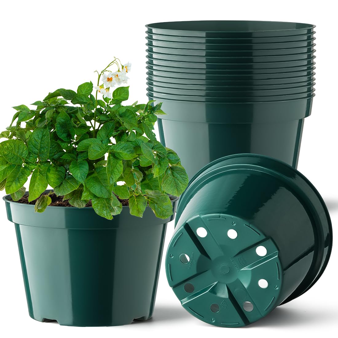 BTPLASTIK 8-inch plant pot with drainage holes for ventilated roots.