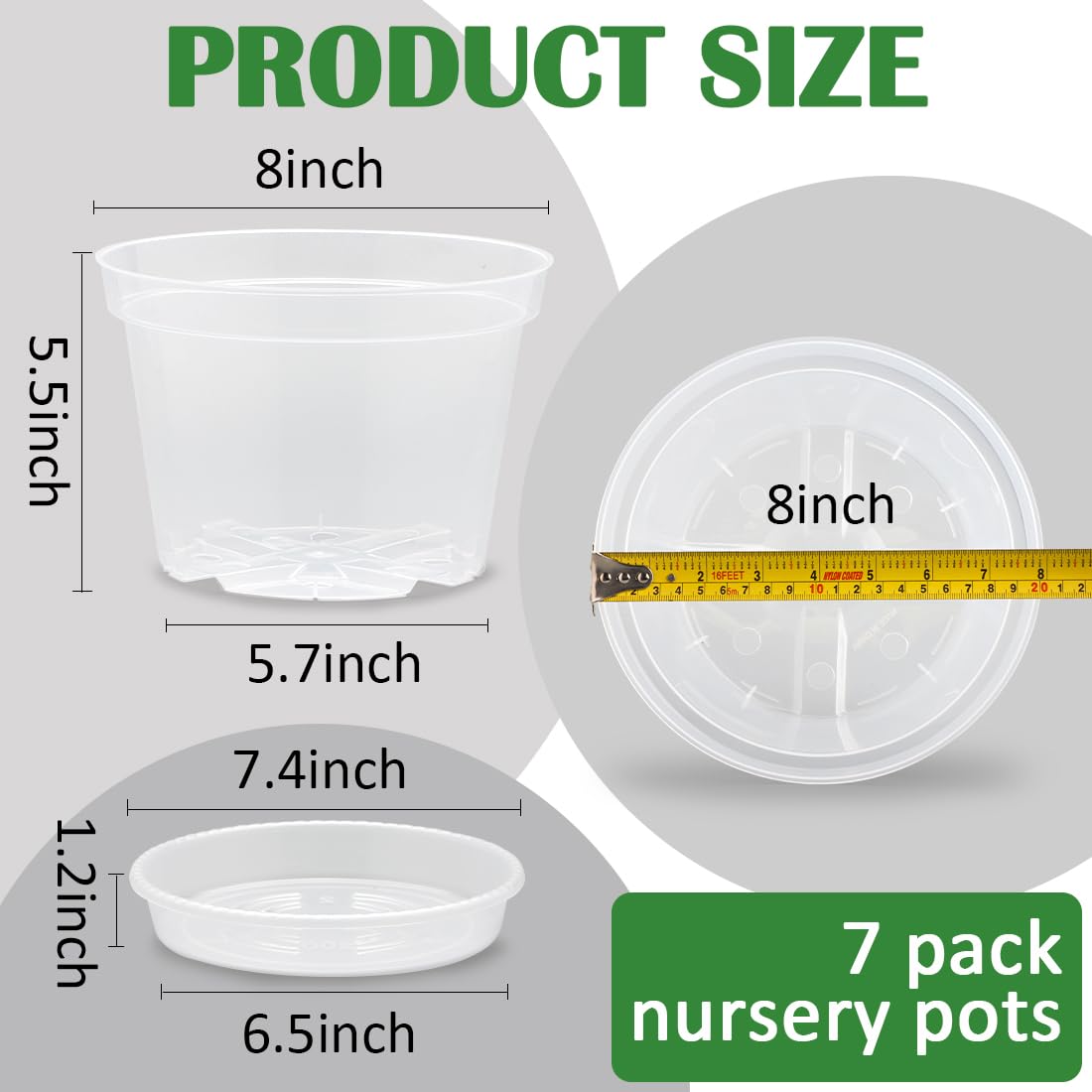 BTPLASTIK 8-inch clear pot side view highlights moisture observation