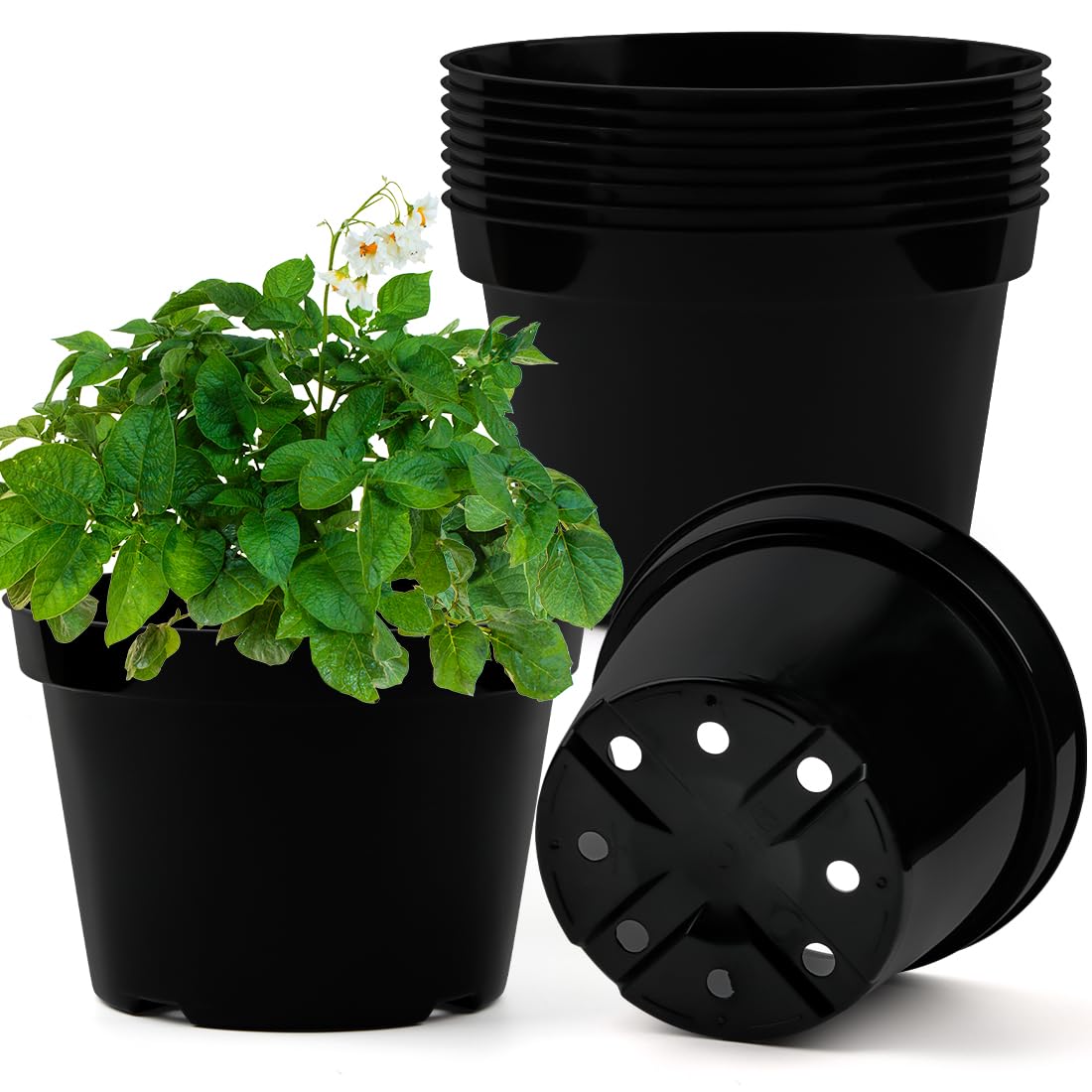 BTPLASTIK 8-inch nursery pot with drainage holes for seedling growth