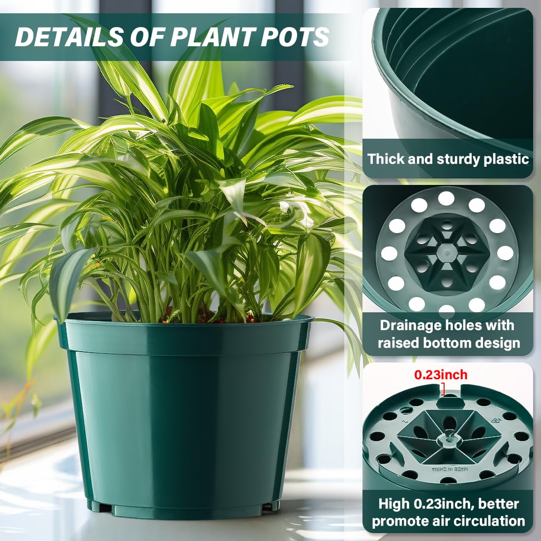 BTPLASTIK 8-inch plant pot full pack displays size variety for seedlings and larger plants