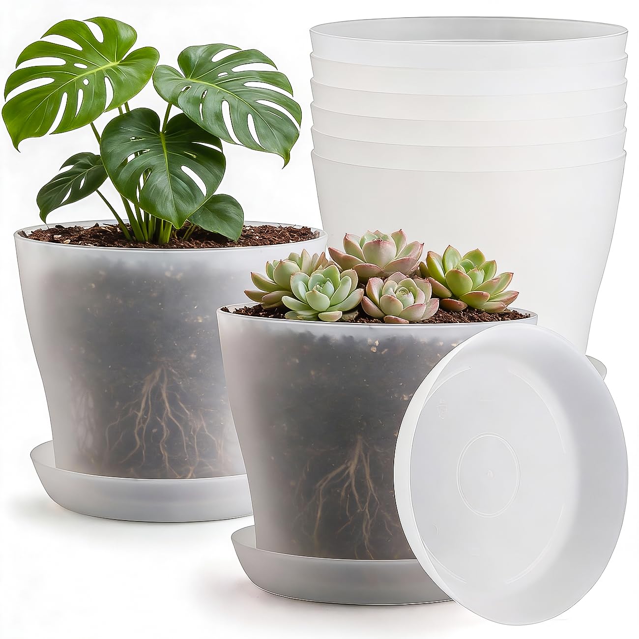 BTPLASTIK 8-inch translucent planter with saucer for indoor succulents and herbs.