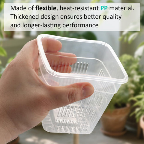 BTPLASTIK pot with aeration and drainage prevents waterlogging and root rot.
