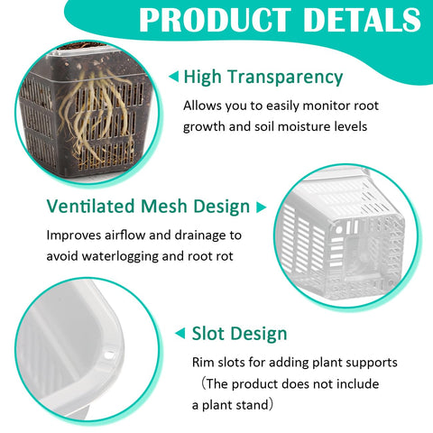 BTPLASTIK air-pruning square pot with slits promotes fibrous root growth.