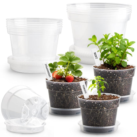 BTPLASTIK clear nursery pot 10-inch for watching root growth and easy repotting.