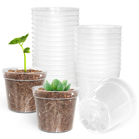 BTPLASTIK clear nursery pot 2.5 inch for easy seedling growth observation.