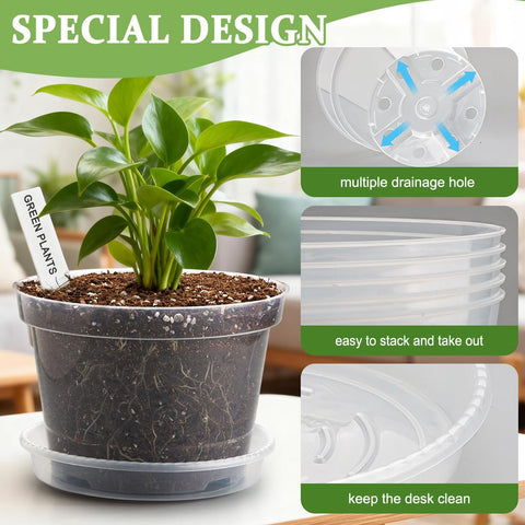 BTPLASTIK clear nursery pot 6-inch ideal for herbs and starting small plants.