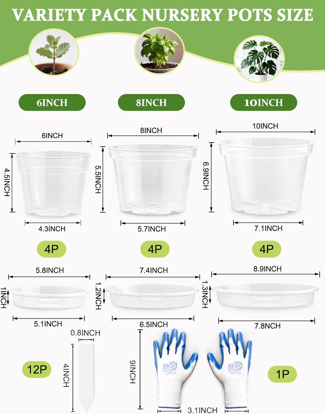 BTPLASTIK clear nursery pot 8-inch supports seedling growth and drainage visibility.