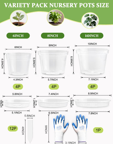BTPLASTIK clear nursery pot 8-inch supports seedling growth and drainage visibility.