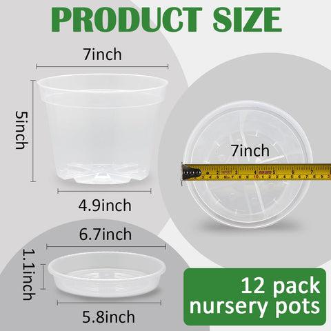 BTPLASTIK clear nursery pot highlighting drainage holes for watering control