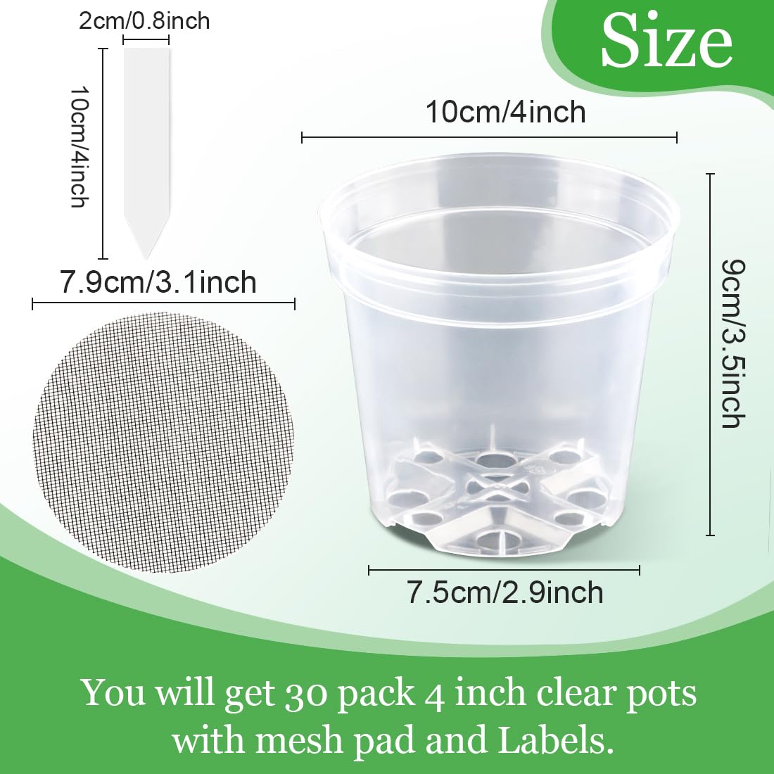 BTPLASTIK clear pot with mesh screen bottom to reduce debris.
