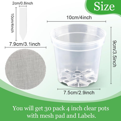 BTPLASTIK clear pot with mesh screen bottom to reduce debris.