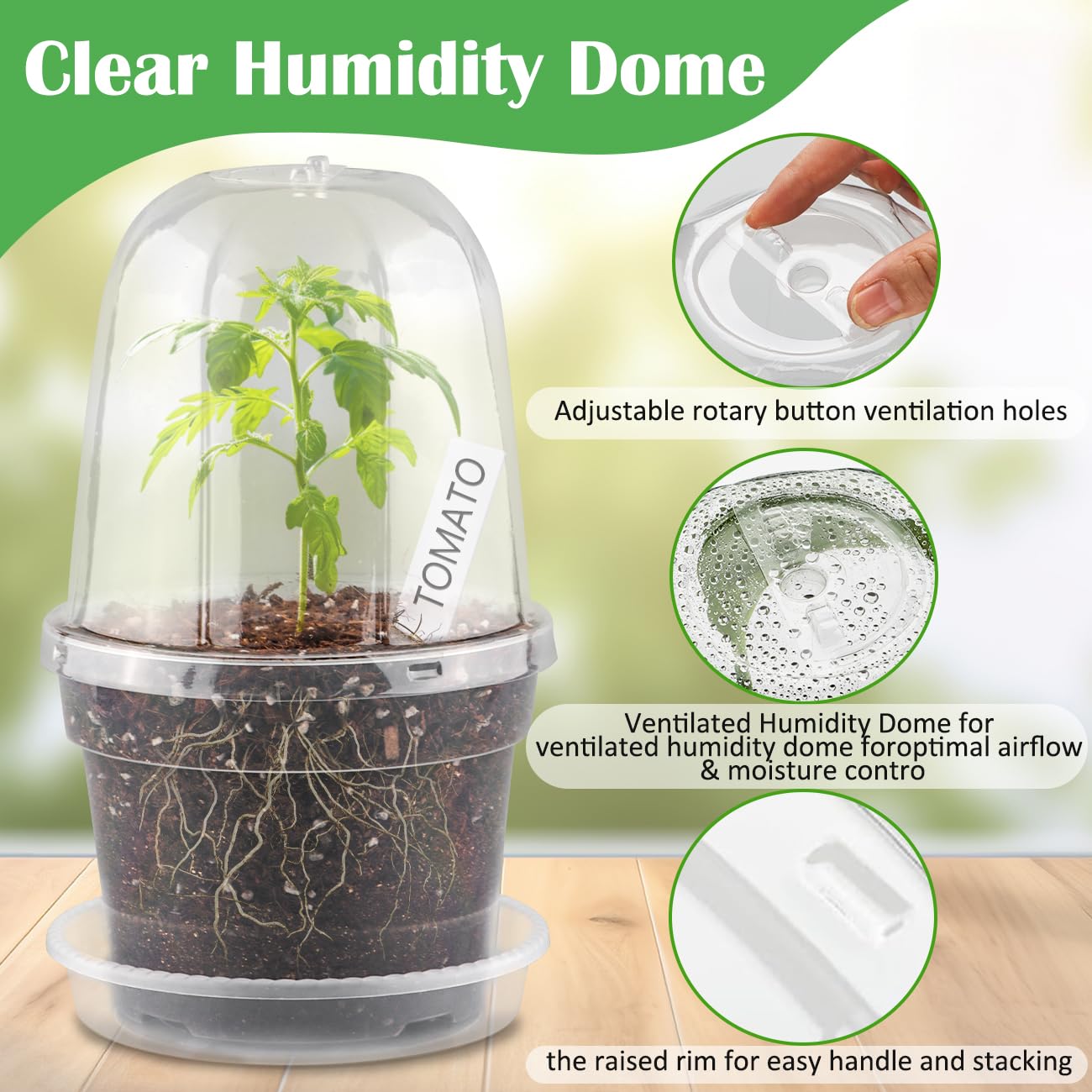 BTPLASTIK transparent pot showing root view for careful care