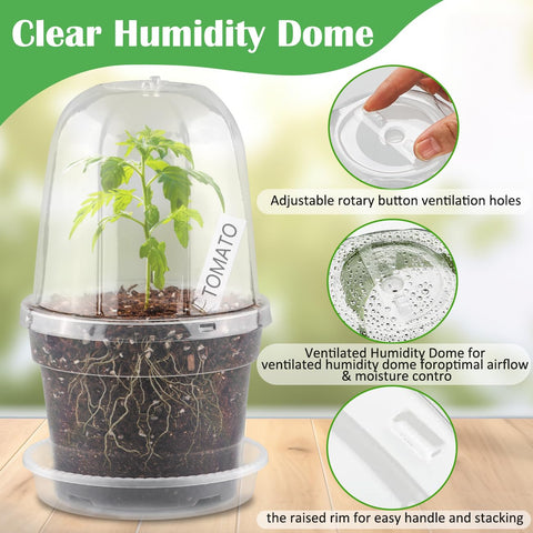 BTPLASTIK transparent pot showing root view for careful care