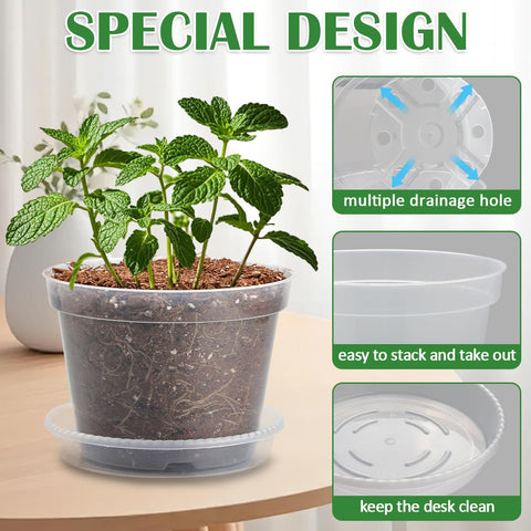 BTPLASTIK clear pot close-up shows drainage holes for proper water management