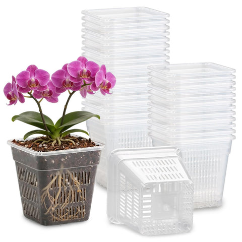 BTPLASTIK clear square nursery pot for easy root observation and light access.