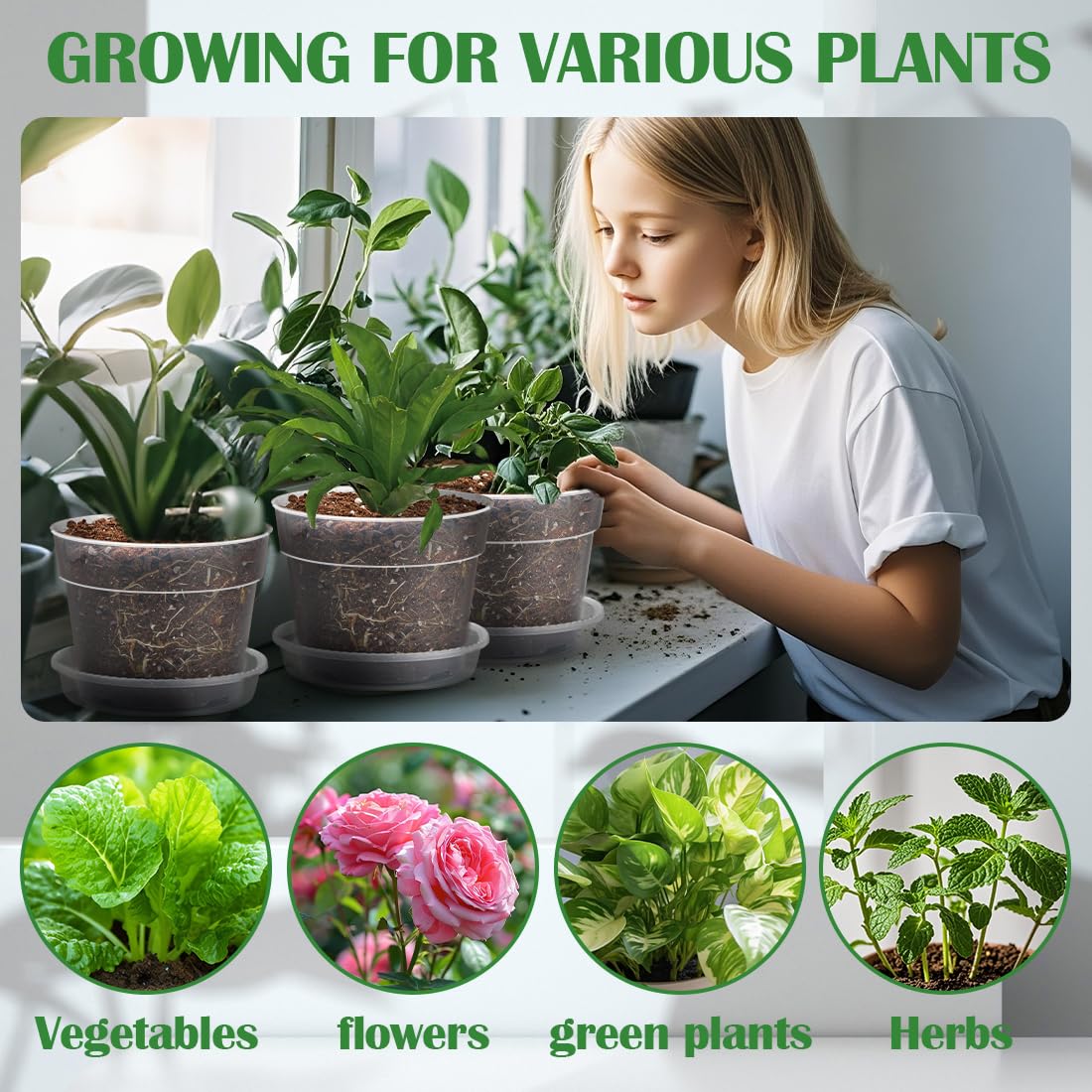 BTPLASTIK clear pot setup on a windowsill for compact home gardening