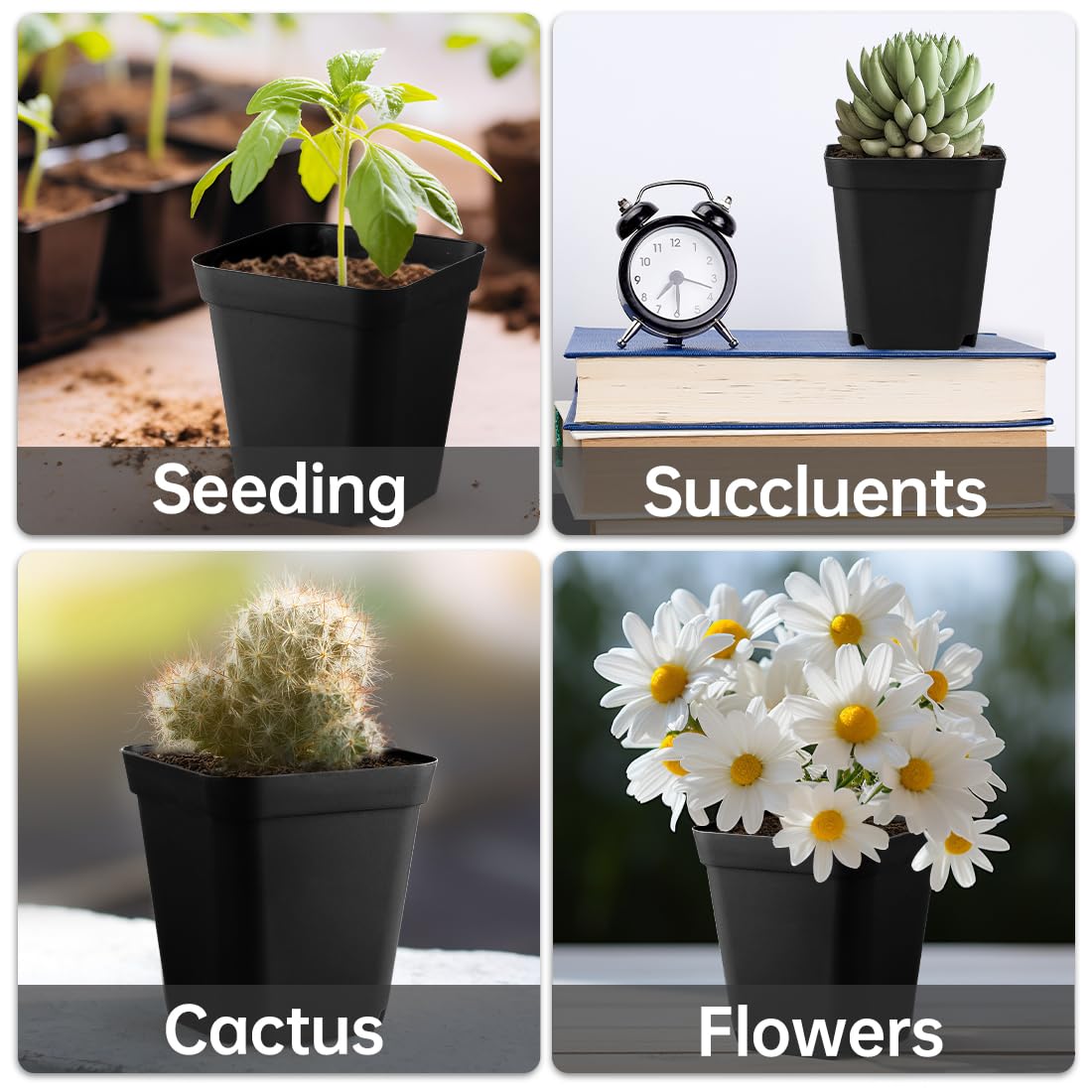 BTPLASTIK easy-transplant sides loosen soil without disturbing roots.