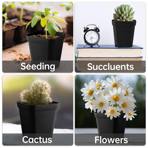 BTPLASTIK easy-transplant sides loosen soil without disturbing roots.