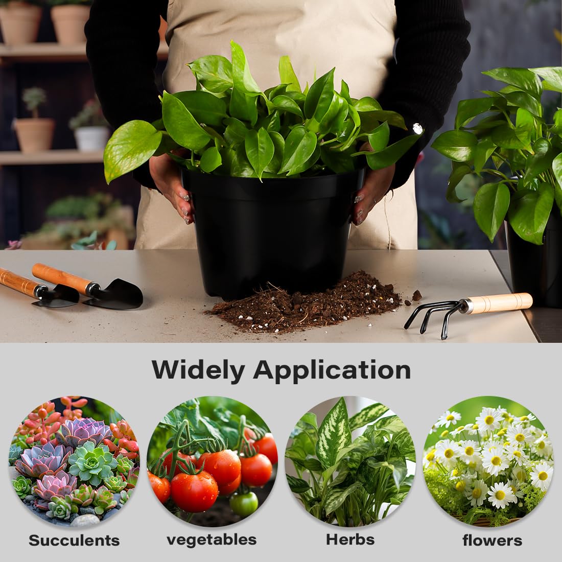 BTPLASTIK pots decorate patio and greenhouse for vibrant garden setup