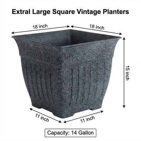 BTPLASTIK imitation cement finish planter enhances rustic spaces without heavy lifting