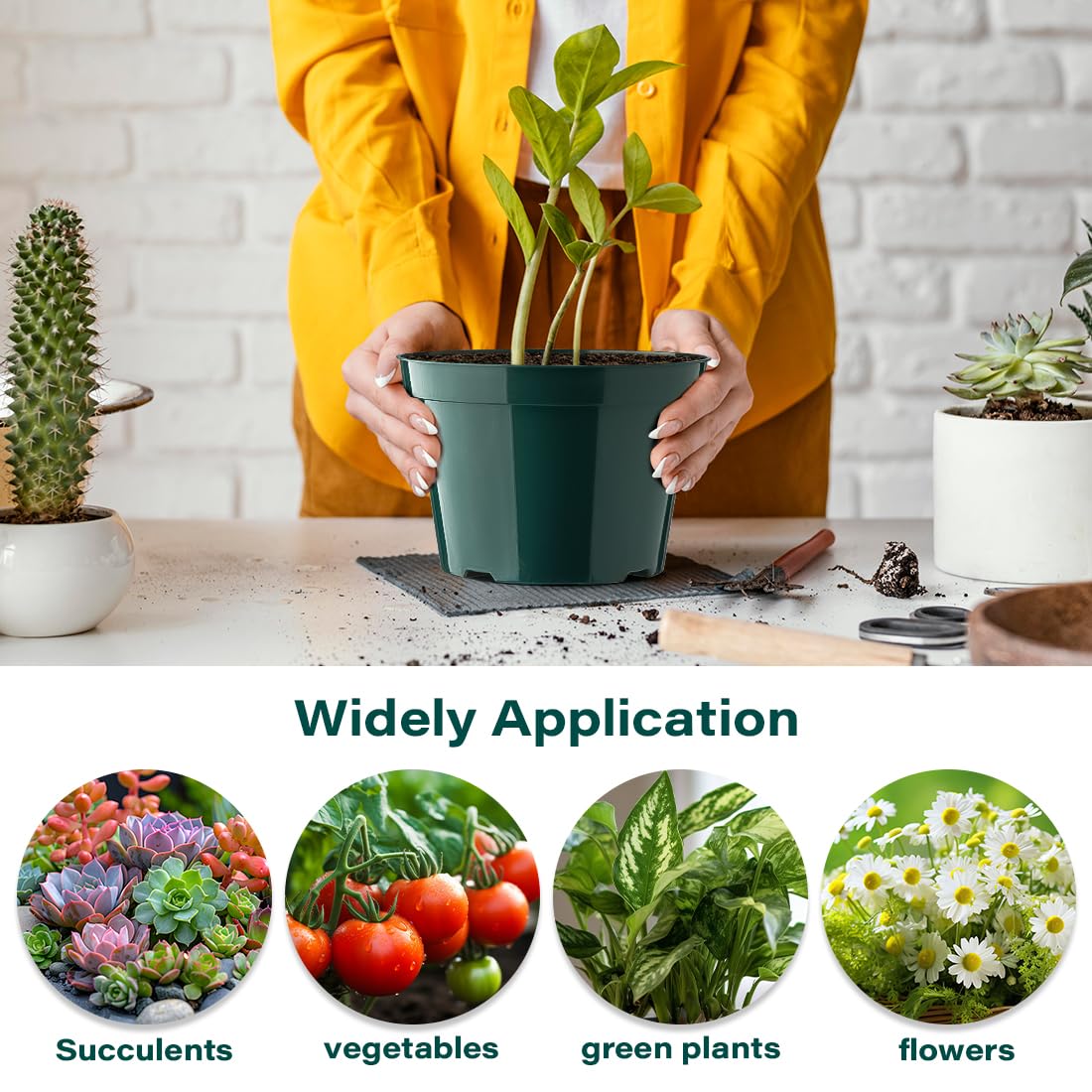 BTPLASTIK indoor-outdoor green pots suitable for herbs and flowers.