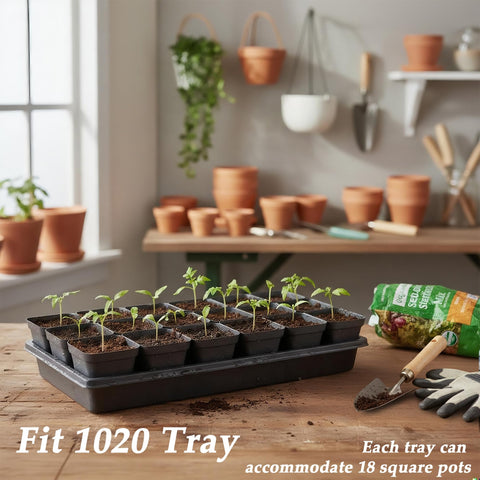 BTPLASTIK pot enables easy transplanting with flexible sides for soil loosening.