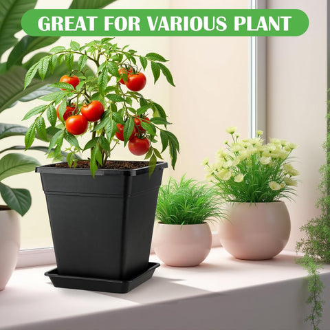 BTPLASTIK matte black finish complements modern indoor displays.