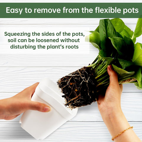 BTPLASTIK nursery pot bottom with drainage holes supports proper watering and aeration