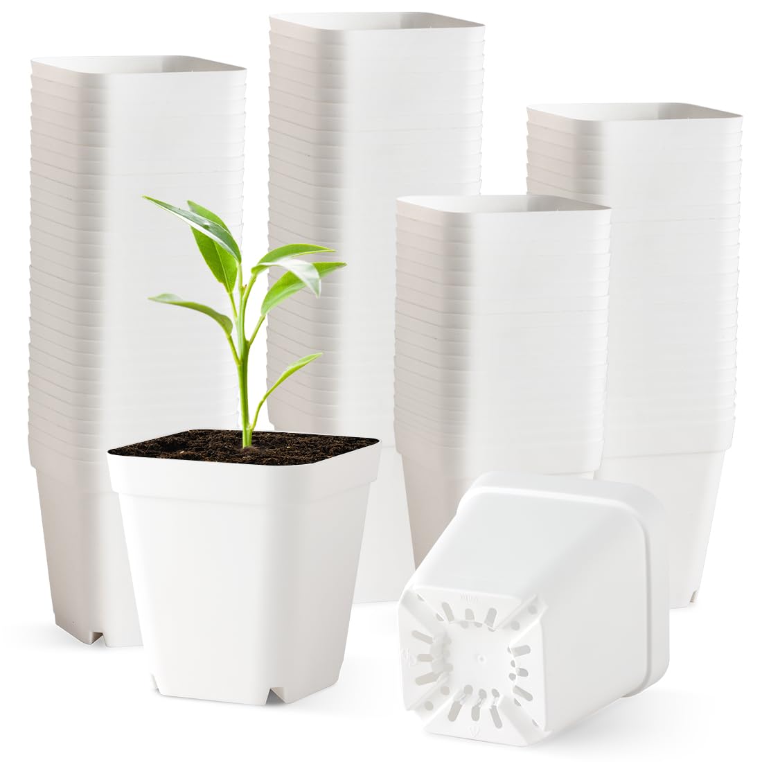 BTPLASTIK nursery pot 3.5 inch outer view shows durable lightweight plastic for seedlings