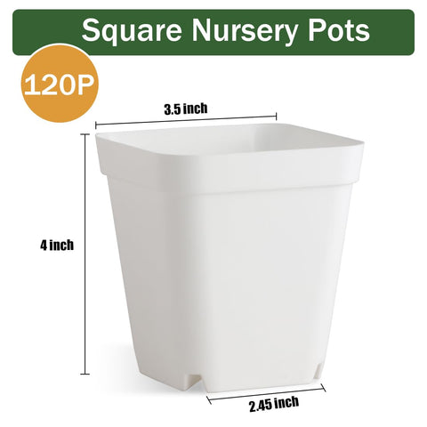 BTPLASTIK nursery pot pack ready for seedling care and gentle transplanting