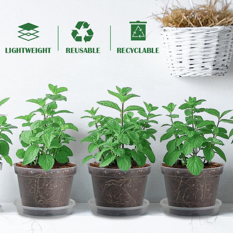 BTPLASTIK nursery pot multiuse proves versatile indoor and outdoor gardening