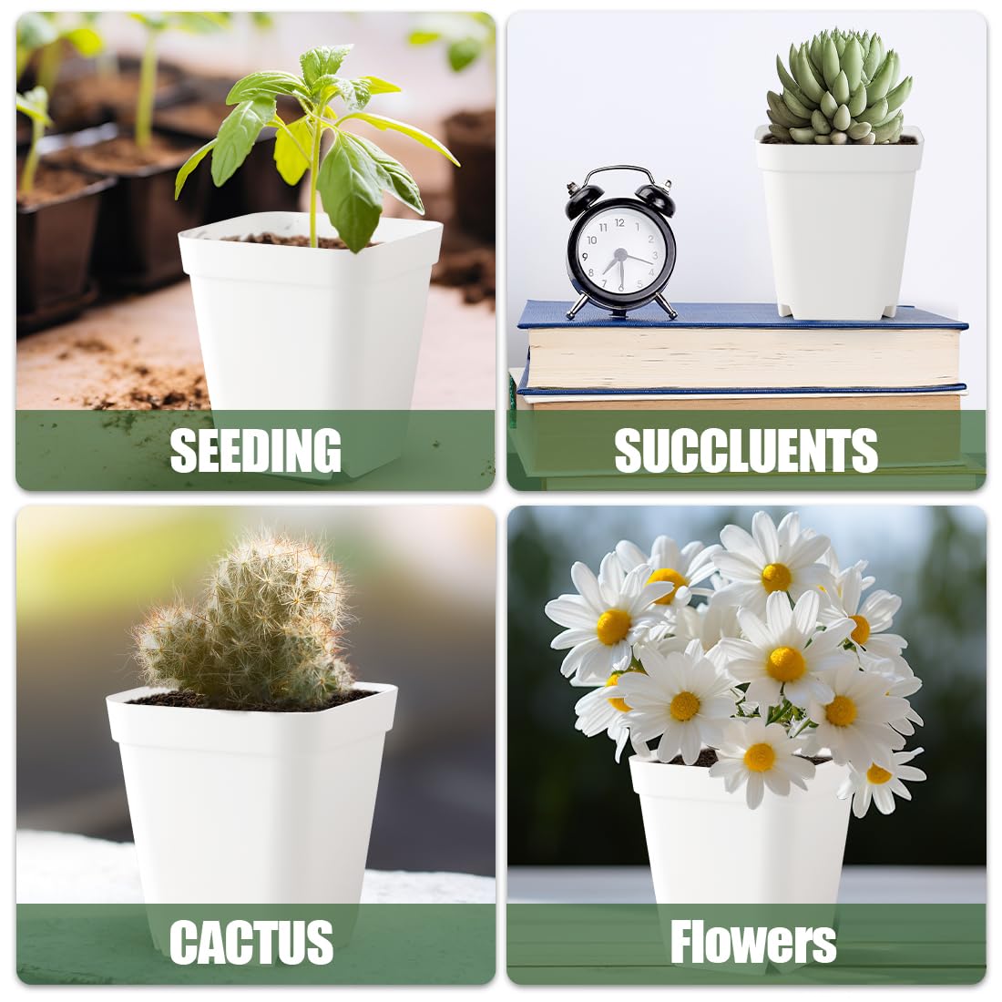 BTPLASTIK 4-inch seedling pot with squeezable sides for gentle transplanting.