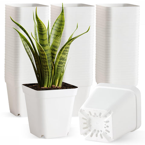 BTPLASTIK 4-inch square nursery pot with drainage holes for healthy roots.
