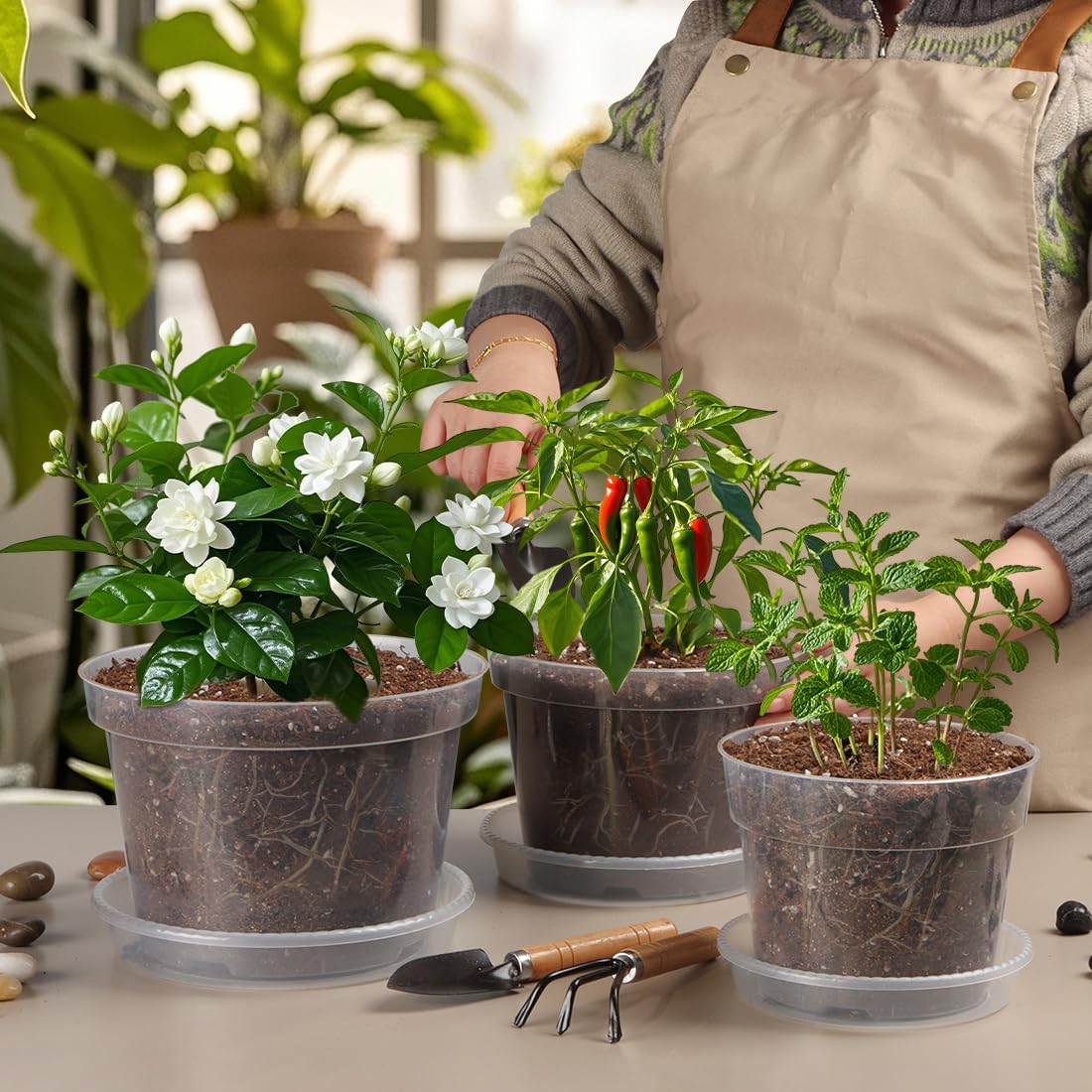 BTPLASTIK nursery pots suitable for indoor and outdoor plant setups.
