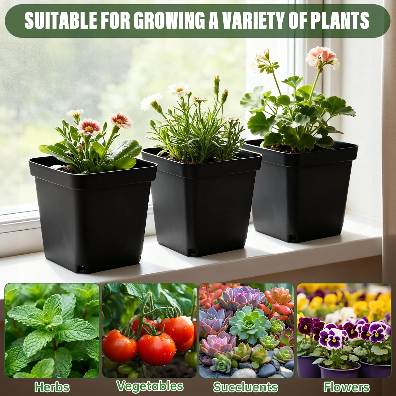 BTPLASTIK nursery pots ideal for succulents and herbs indoors.