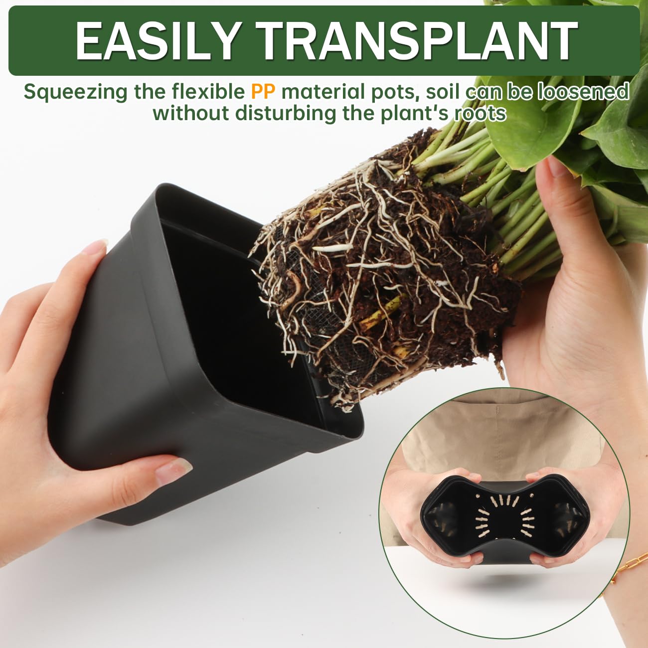 BTPLASTIK transplant-ready pots prevent root disturbance during repotting.