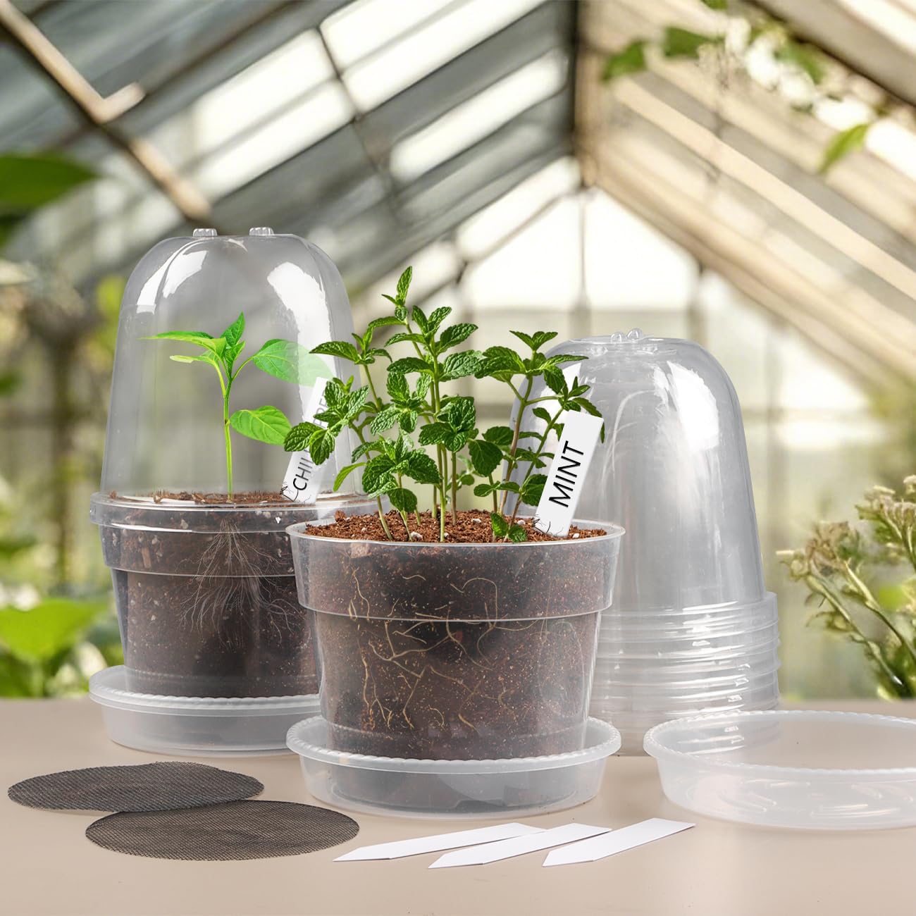 BTPLASTIK plant labels included for variety tracking