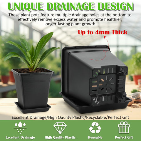 BTPLASTIK 6-inch pot showing removable tray for mess-free setup