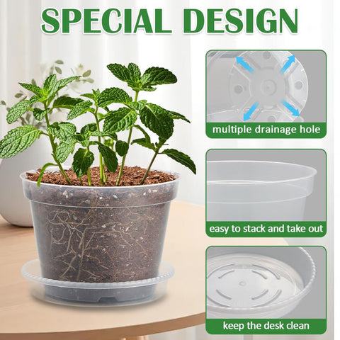 BTPLASTIK plant trays matching each pot size for neat watering.